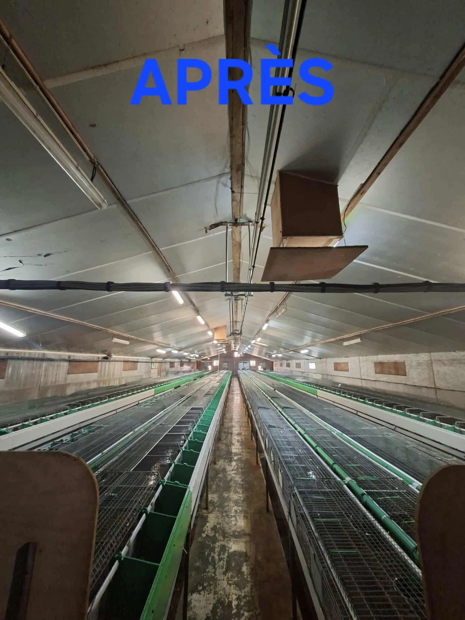 Lavage batiments Lapins