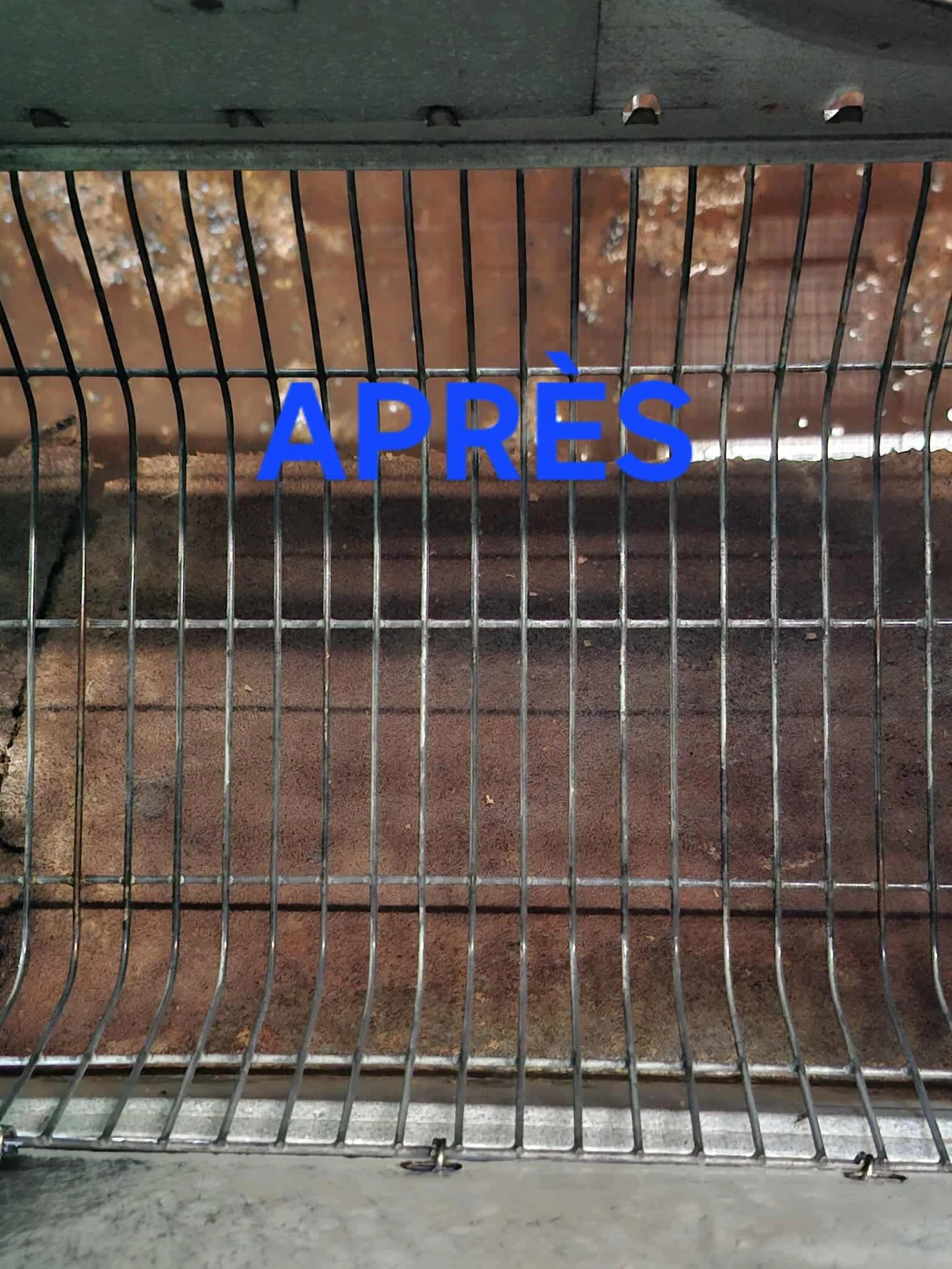 Lavage batiments Lapins