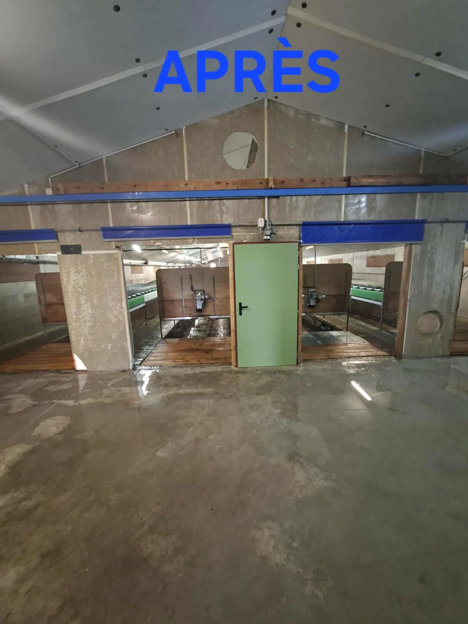 Lavage batiments Lapins