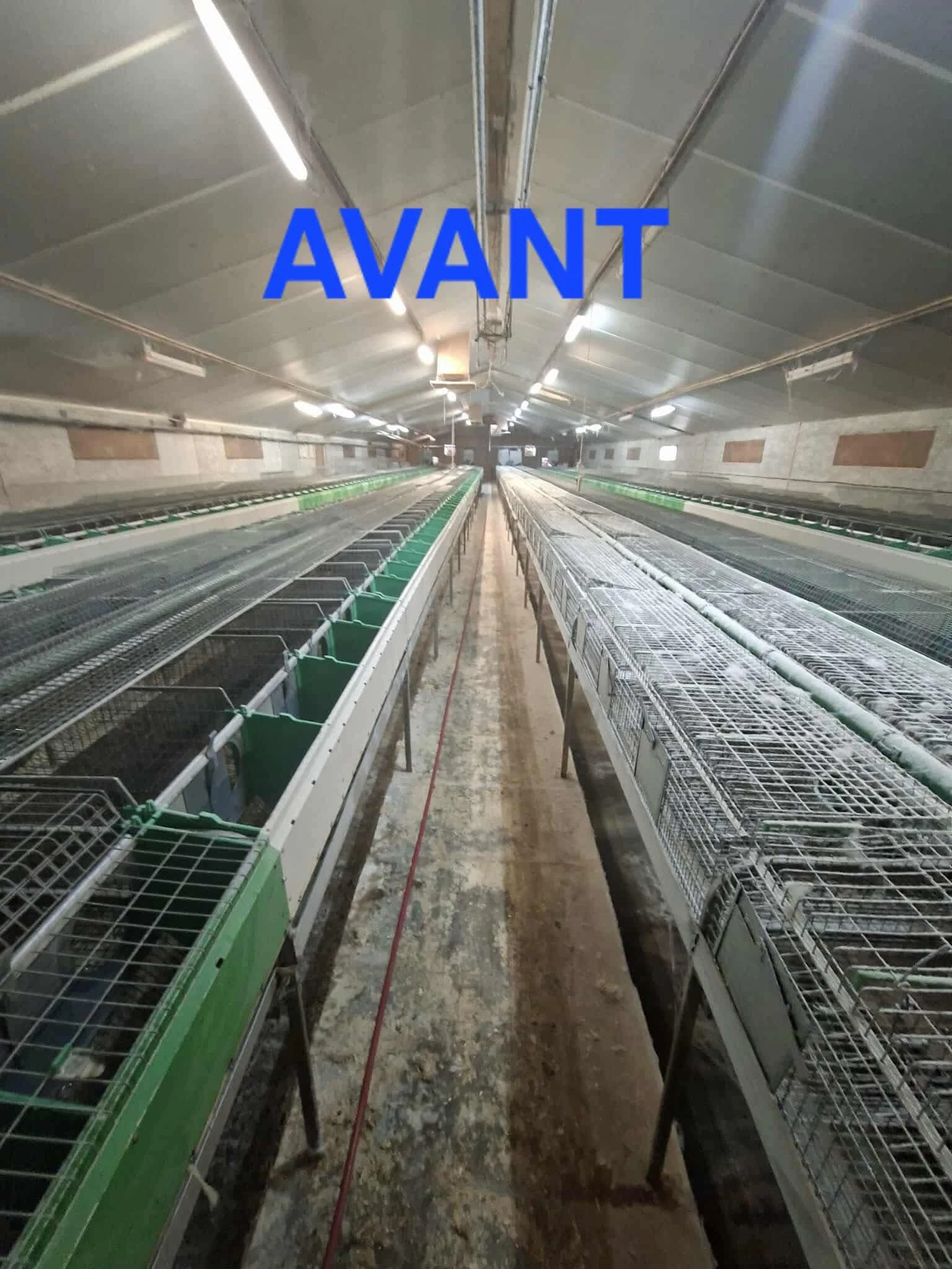 Lavage batiments Lapins